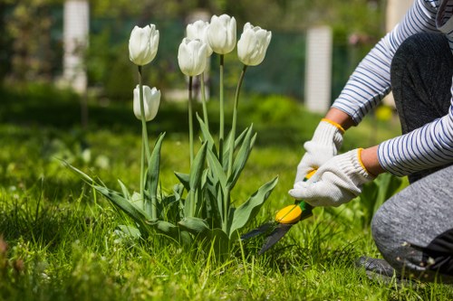 Professional gardener at work in a Barnes garden, close-up of tools and plants