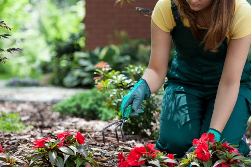 Choosing the right landscaping services