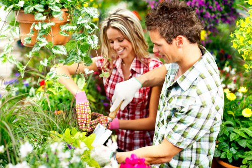 Person using screen reader to access gardening information