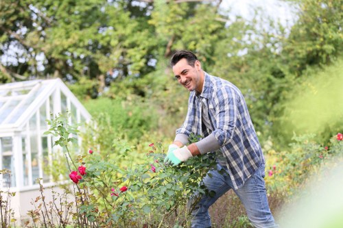 Healthy trimmed hedges enhancing garden aesthetics