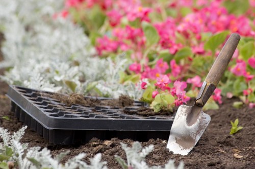 Inspector reviewing garden work during an investigation