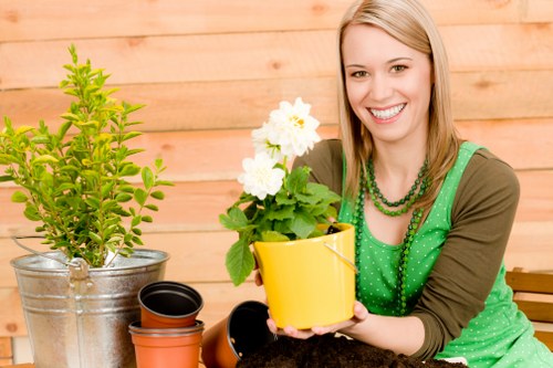 Eco-friendly hedge trimming practices