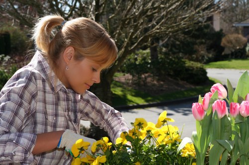 Eco-friendly garden clearance practices in Barnes
