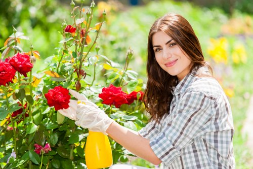 Professional landscape design by Gardeners Barnes